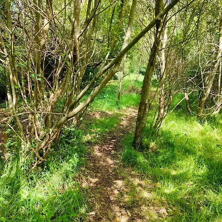 Shepherd's Hut In Nature * Ньютаун-Маунт-Кеннеди