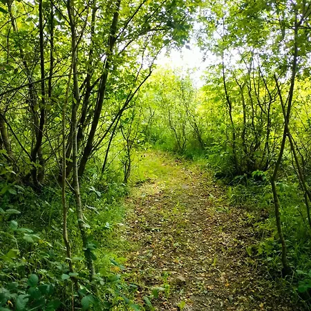Shepherd's Hut In Nature Newtown Mount Kennedy