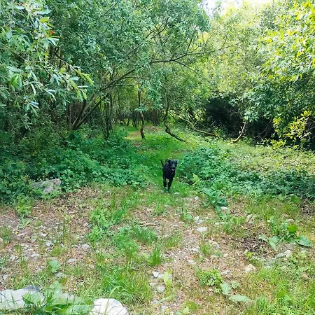 Shepherd's Hut In Nature דירה *