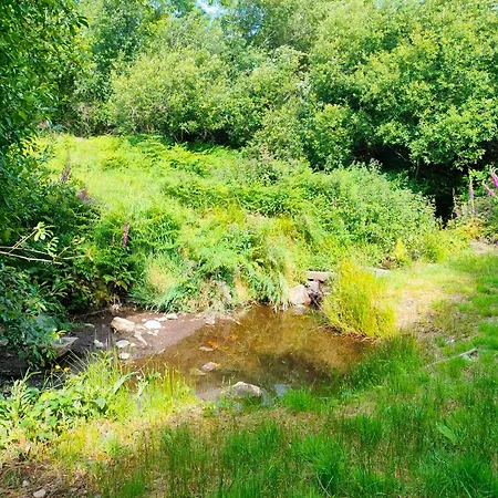דירה Shepherd's Hut In Nature Newtown Mount Kennedy