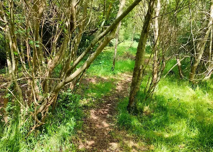 Shepherd's Hut In Nature * Newtown Mount Kennedy