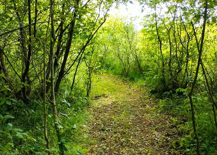 Shepherd's Hut In Nature Newtown Mount Kennedy