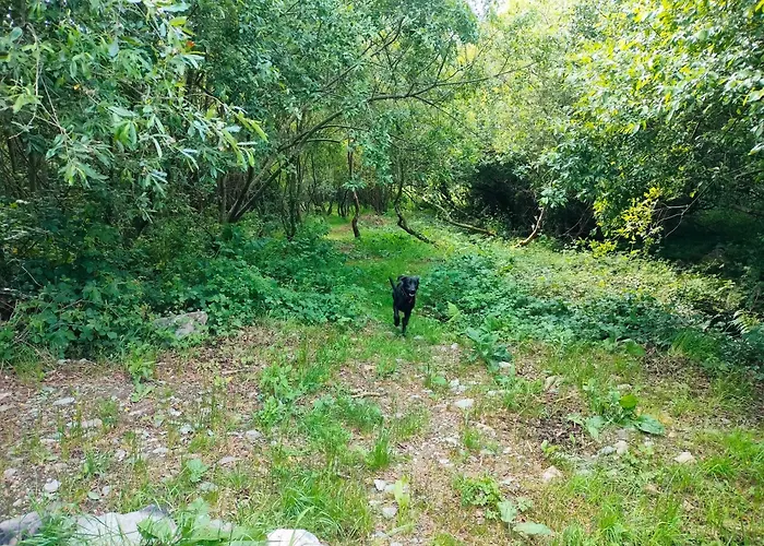 Shepherd's Hut In Nature 公寓 *