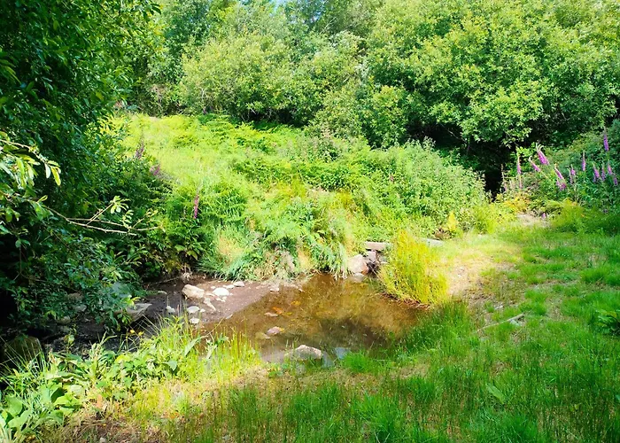 Апартаменты Shepherd's Hut In Nature Ньютаун-Маунт-Кеннеди